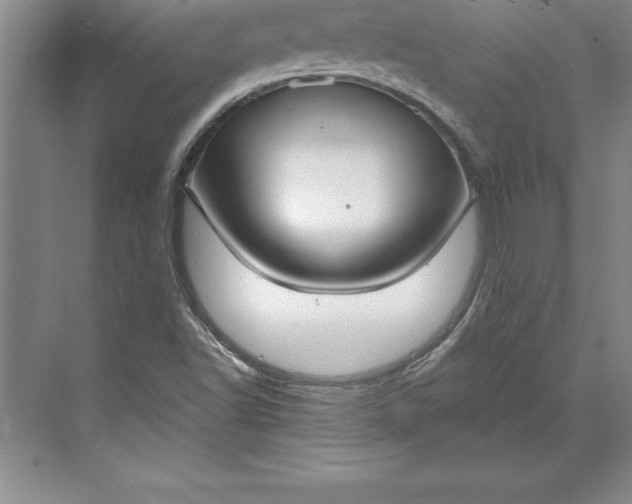 X0000071351502200607071710