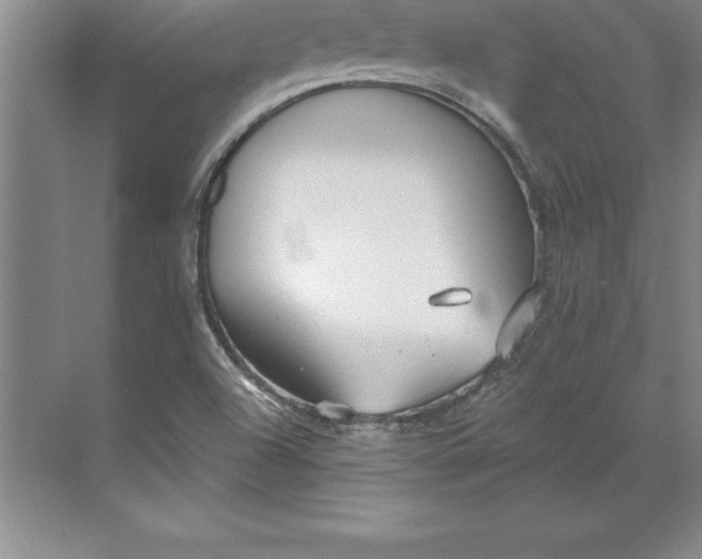 X0000071351504200607071710