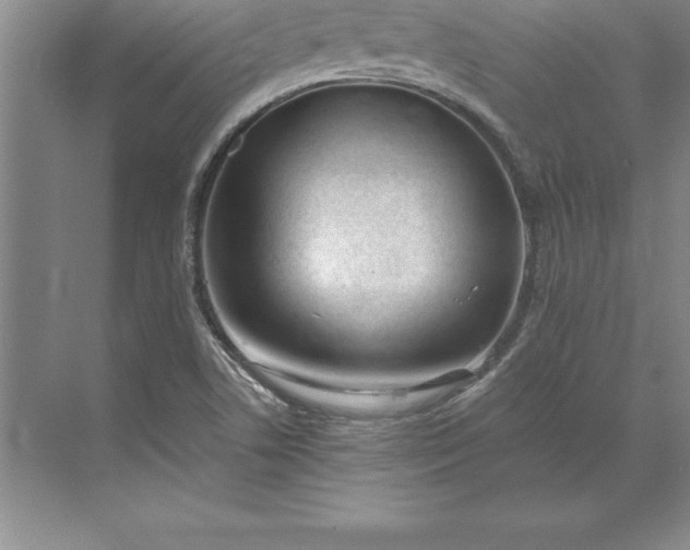 X0000071351506200607071710