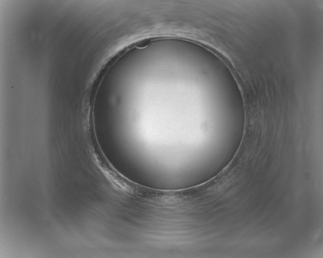 X0000071351507200607071710