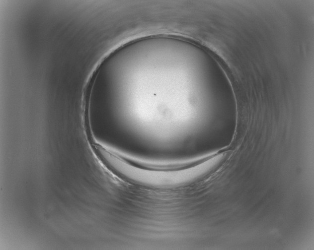 X0000071351508200607071710