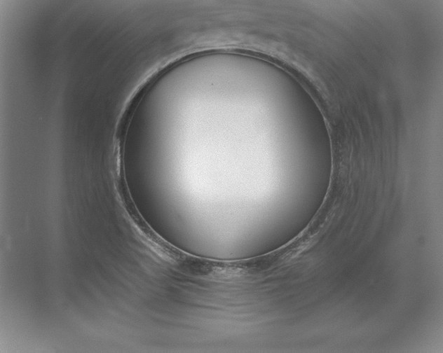 X0000071351509200607071710