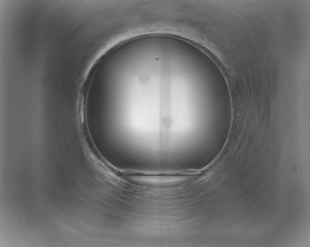 X0000071351510200607071710