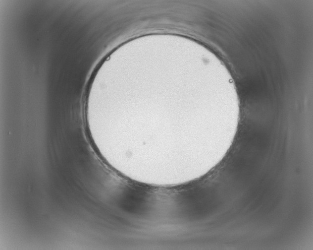 X0000071351514200607071710