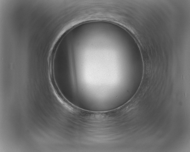 X0000071351515200607071710