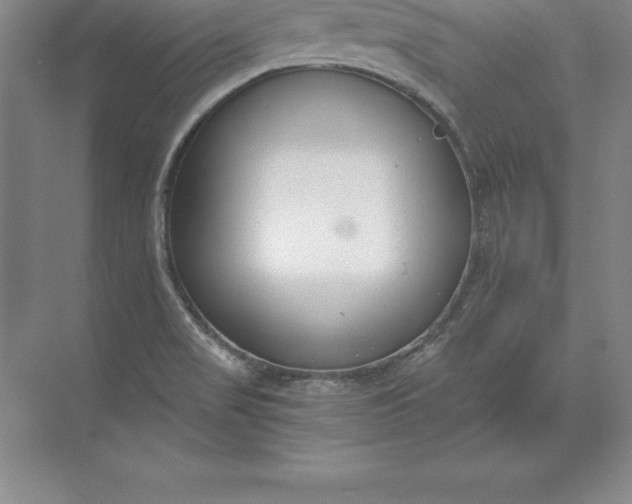 X0000071351517200607071711