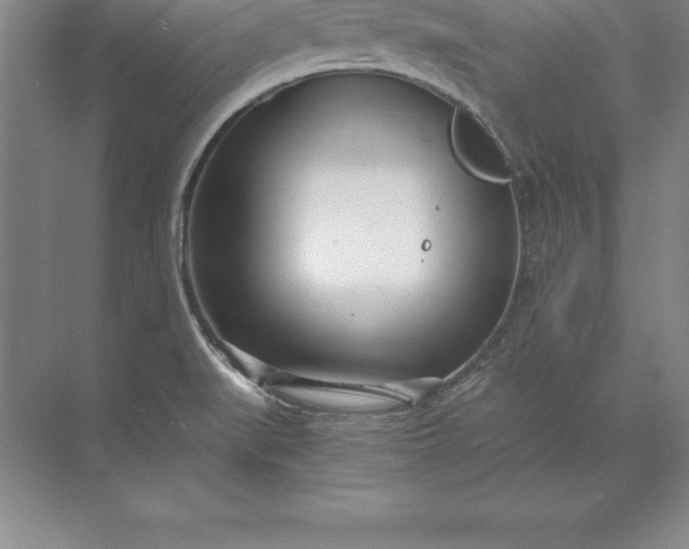 X0000071351519200607071711