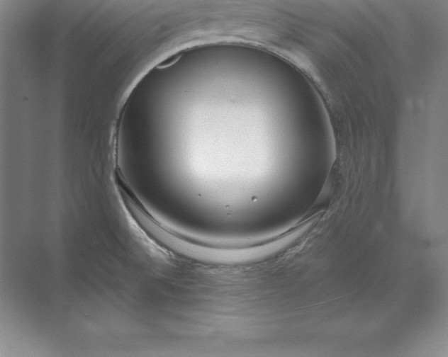 X0000071351524200607071711