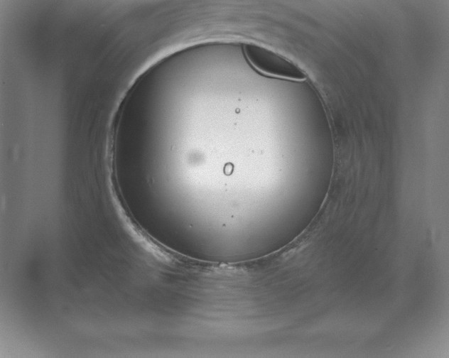 X0000071351526200607071711