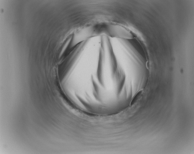 X0000071350009200607142007