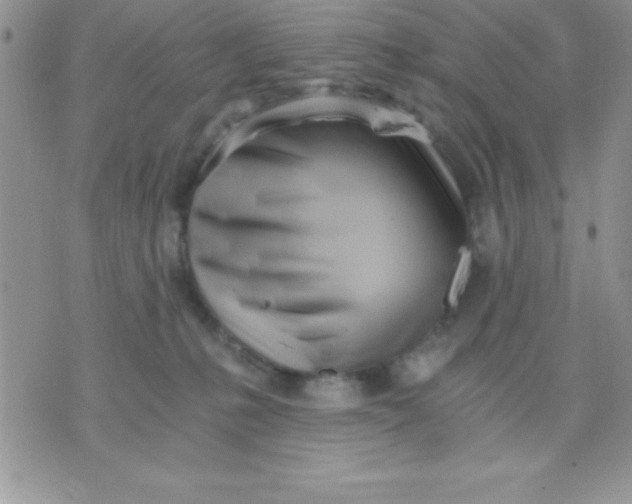 X0000071350231200607142003