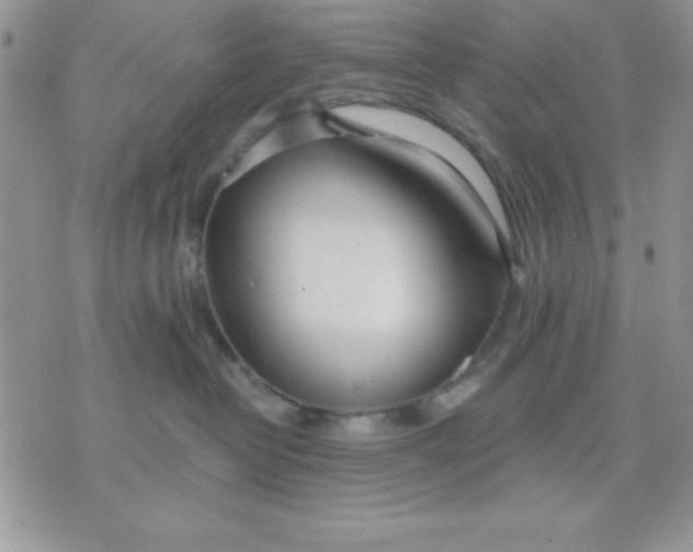 X0000071350382200607142001