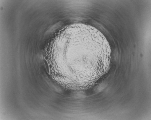 X0000071350427200607142000