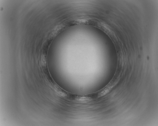 X0000071350467200607142000