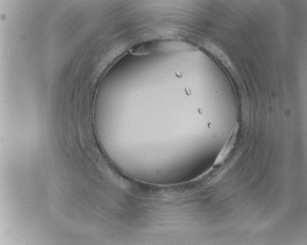 X0000071350481200607141959