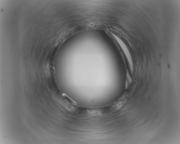 X0000071350520200607141959