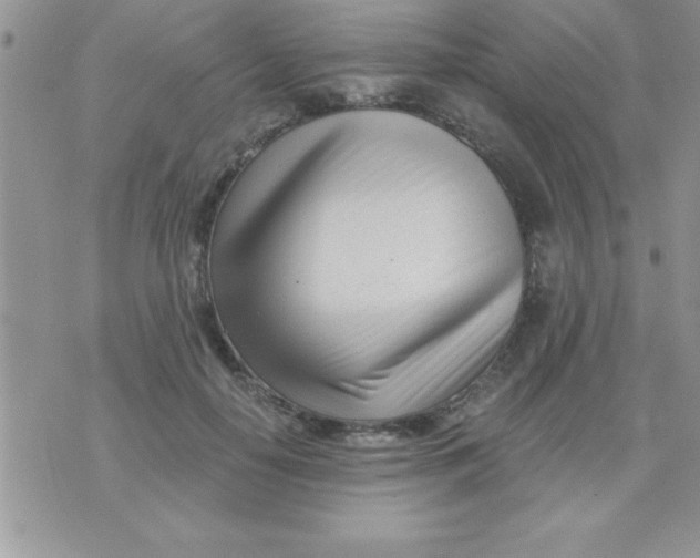 X0000071350650200607141956