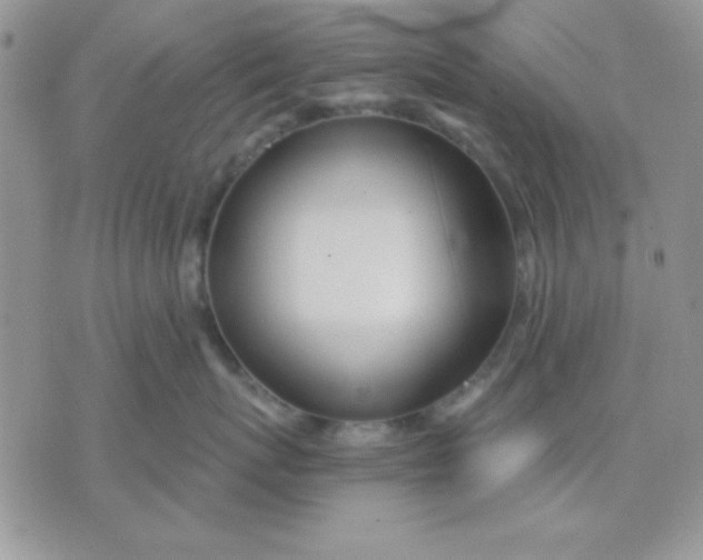 X0000071350767200607141955