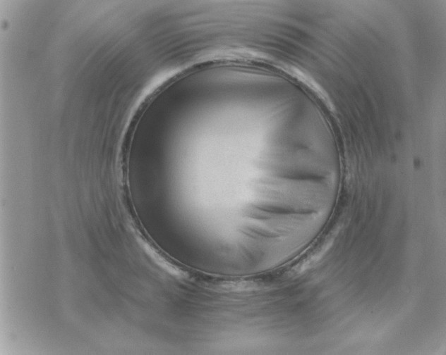 X0000071351037200607141950