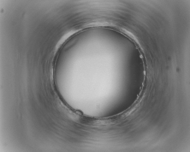 X0000071351179200607141948