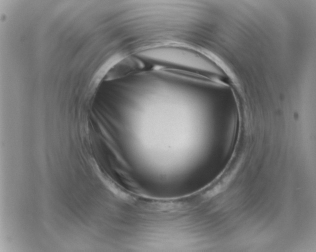 X0000071351289200607141946