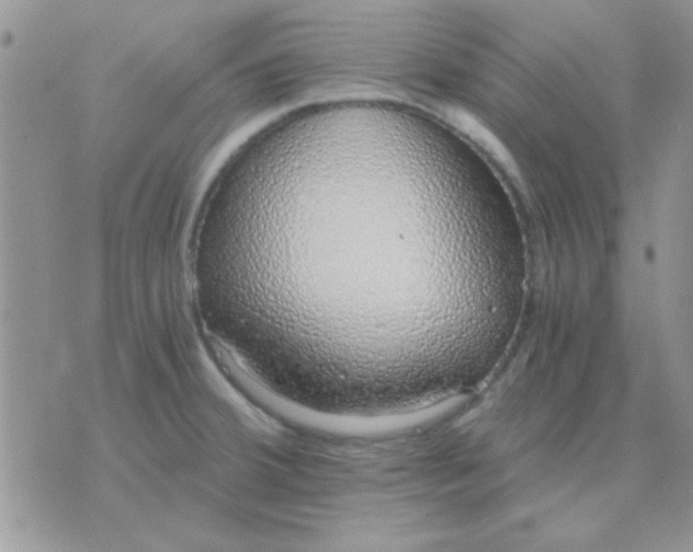 X0000071351380200607141945