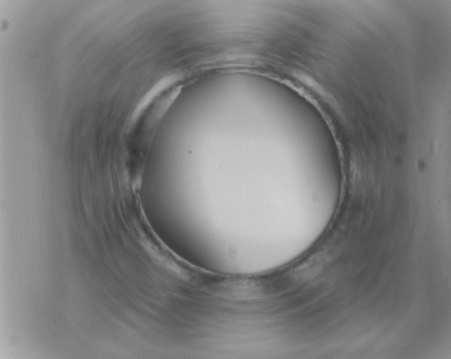 X0000071351450200607141943