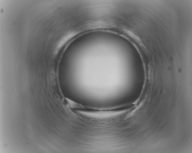 X0000071351453200607141943