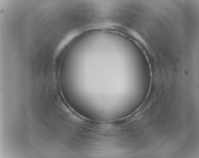 X0000071351456200607141943