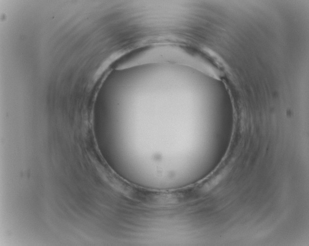 X0000071351457200607141943