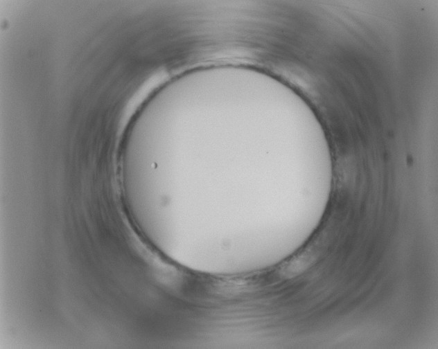 X0000071351470200607141943