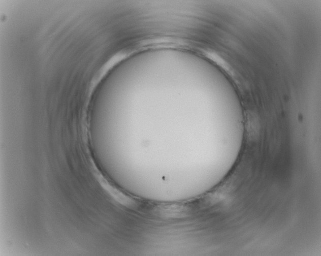 X0000071351474200607141943