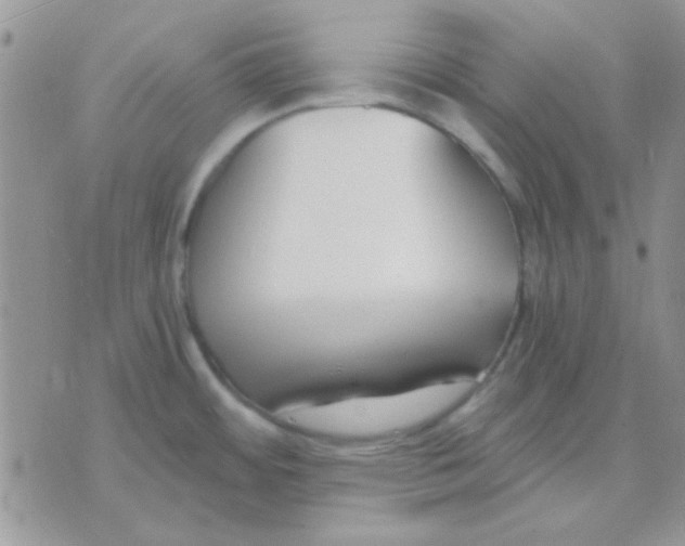 X0000071351484200607141943