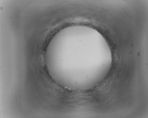 X0000071351493200607141942