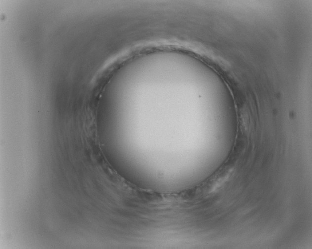 X0000071351494200607141942