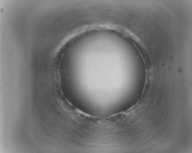 X0000071351496200607141942