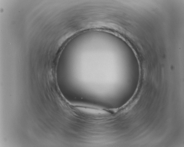 X0000071351497200607141942