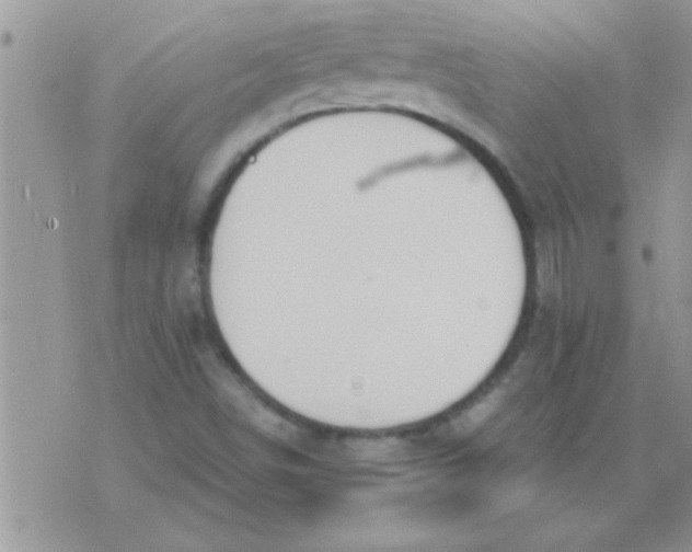 X0000071351498200607141942