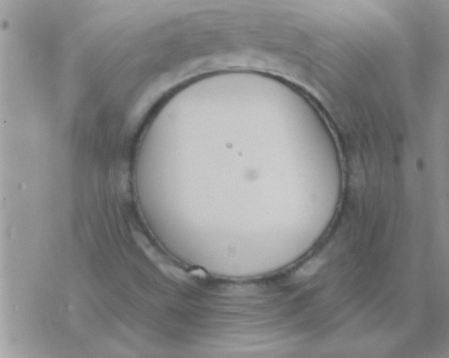 X0000071351499200607141942