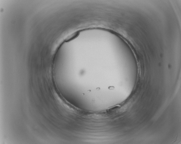 X0000071351500200607141942