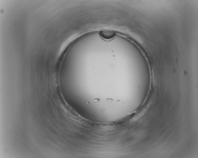 X0000071351501200607141942