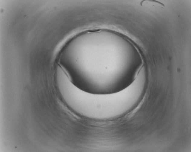 X0000071351502200607141942