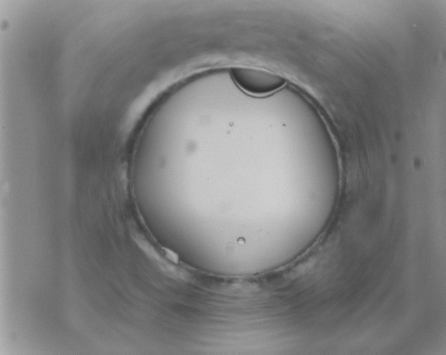 X0000071351503200607141942