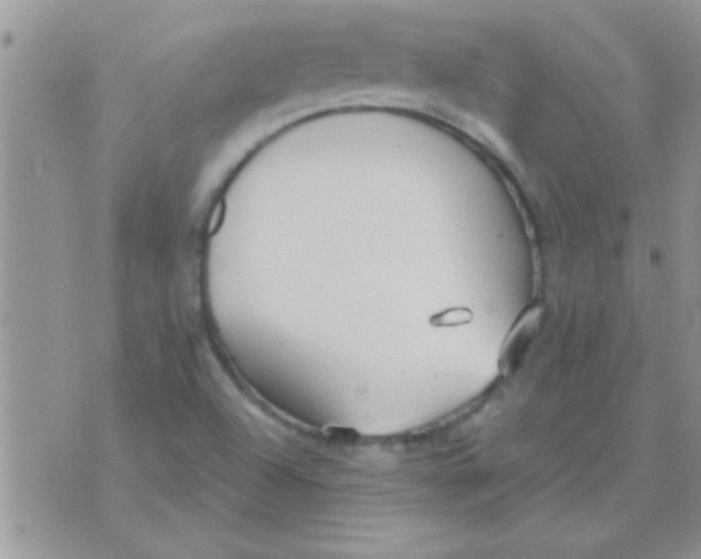 X0000071351504200607141942