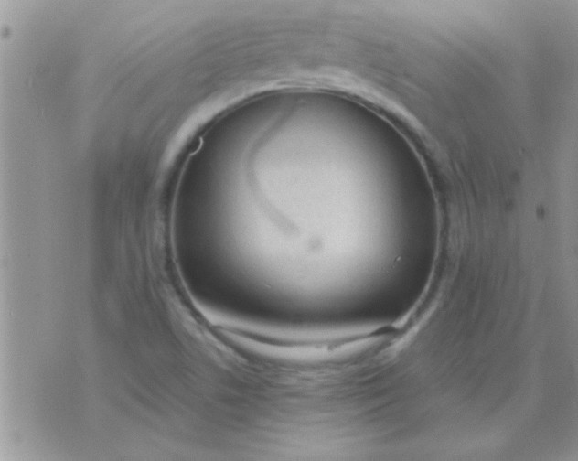 X0000071351506200607141942