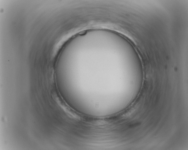 X0000071351507200607141942