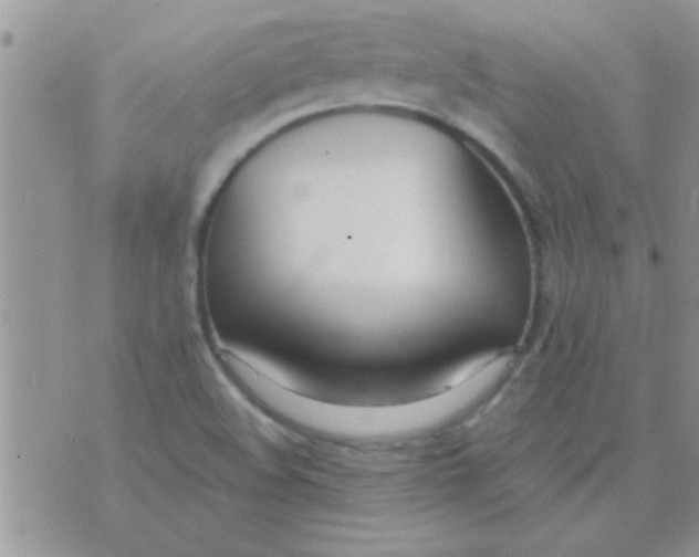 X0000071351508200607141942