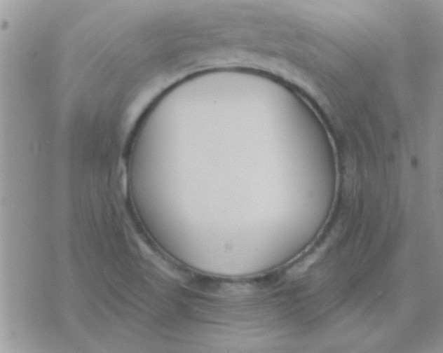 X0000071351509200607141942