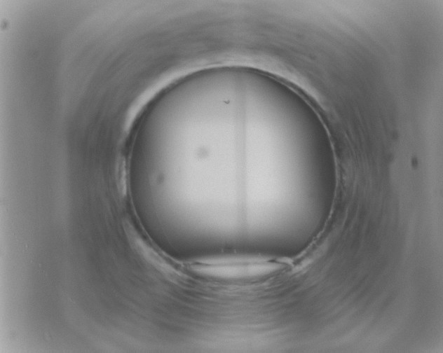 X0000071351510200607141942