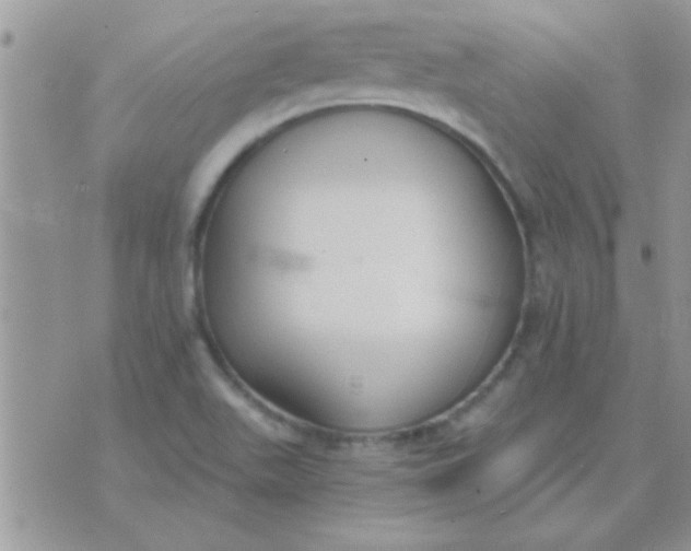 X0000071351511200607141942